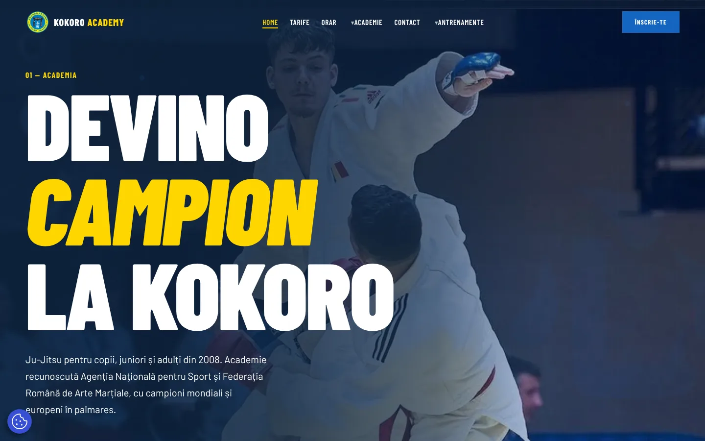 Pagina principală kokoro.ro pe desktop