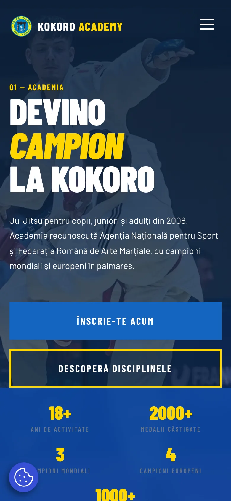 Pagina principală kokoro.ro pe mobil